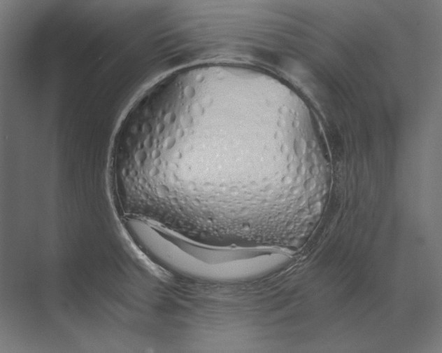 X0000073841379200609071530