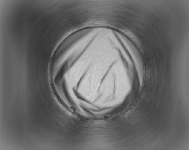 X0000073841382200609071530