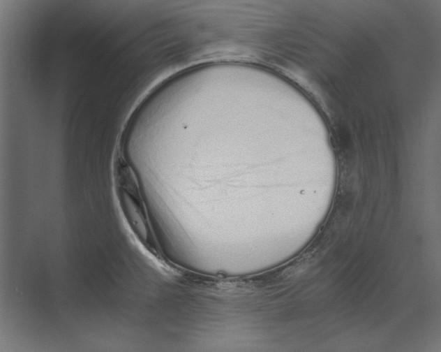 X0000073841383200609071530