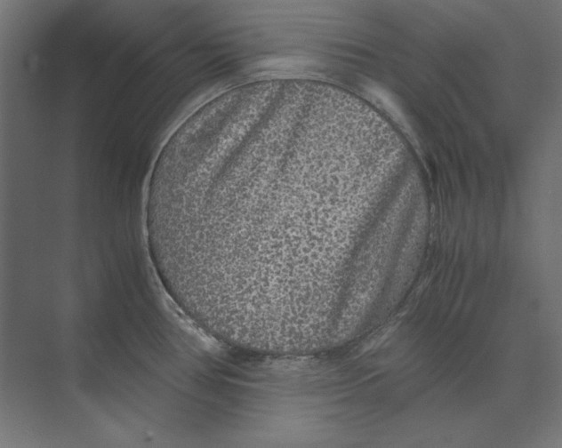 X0000073841386200609071529