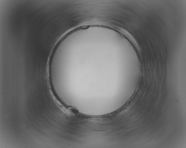 X0000073841388200609071529