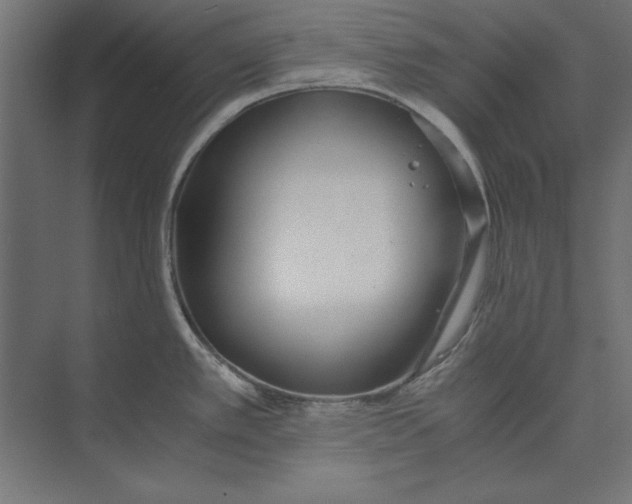 X0000073841389200609071529