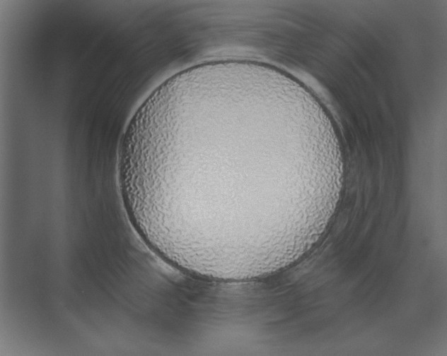 X0000073841390200609071529