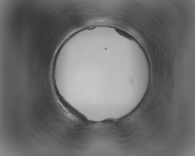 X0000073841392200609071529