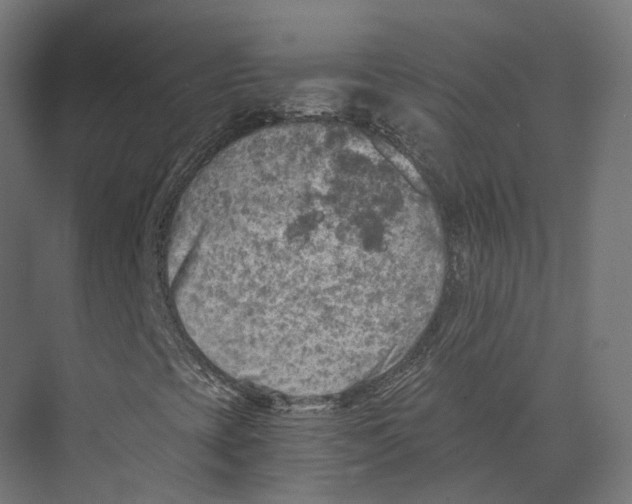 X0000073841393200609071529