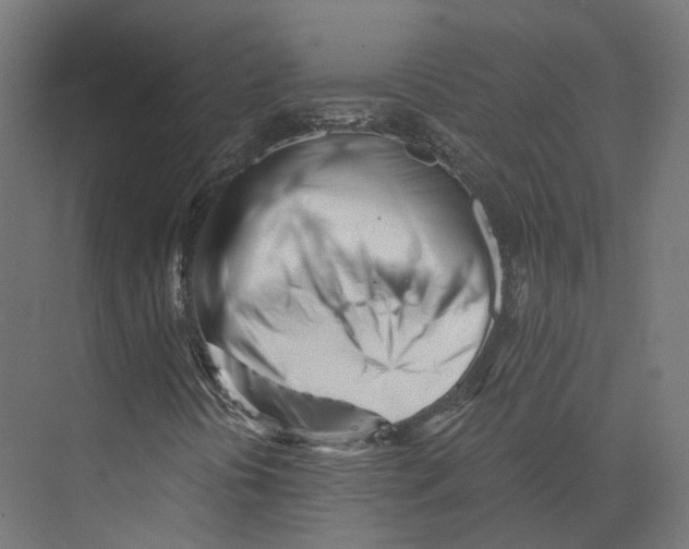 X0000073841394200609071529