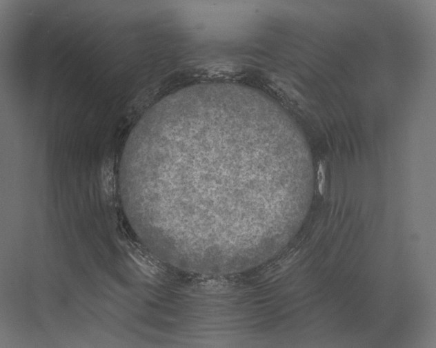 X0000073841395200609071529