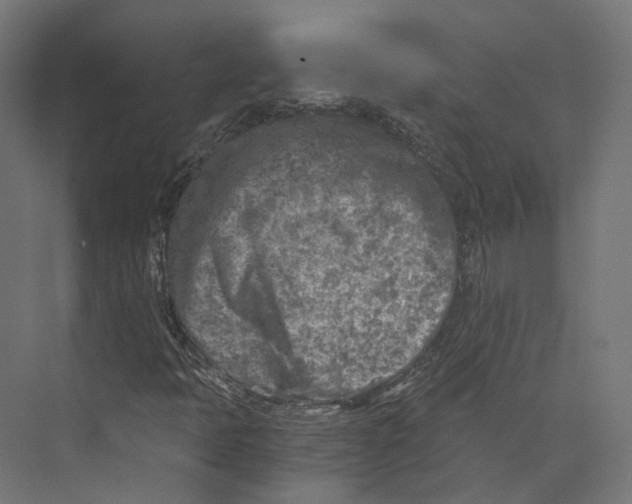 X0000073841397200609071529