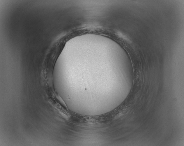 X0000073841398200609071529