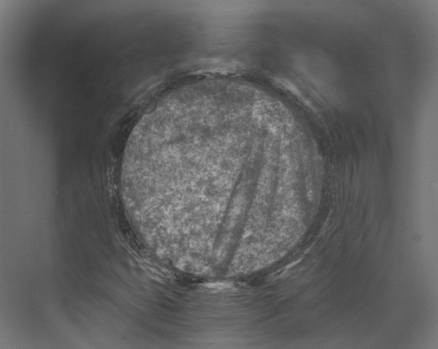 X0000073841399200609071529