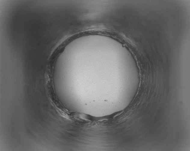 X0000073841400200609071529