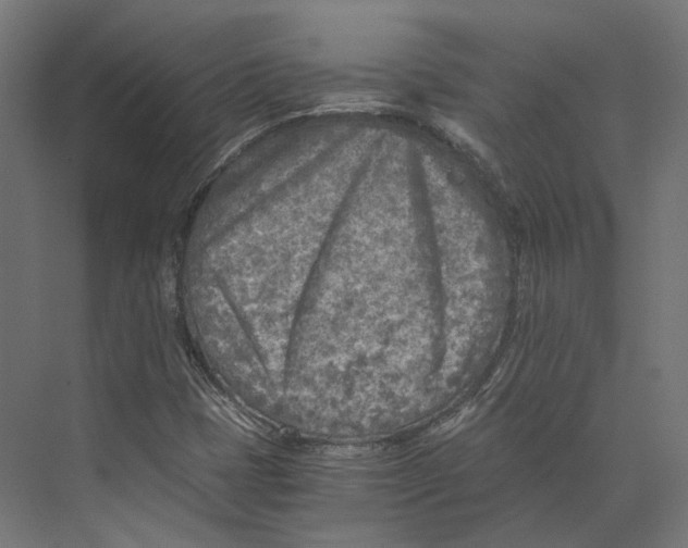 X0000073841401200609071529