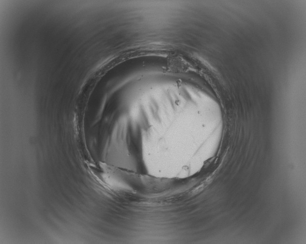 X0000073841402200609071529