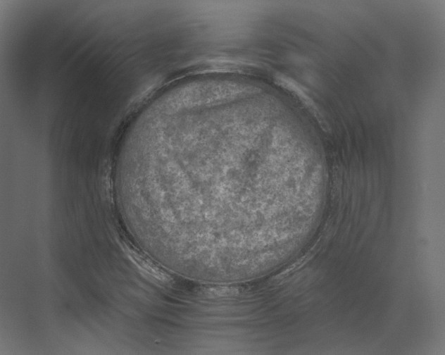 X0000073841403200609071529