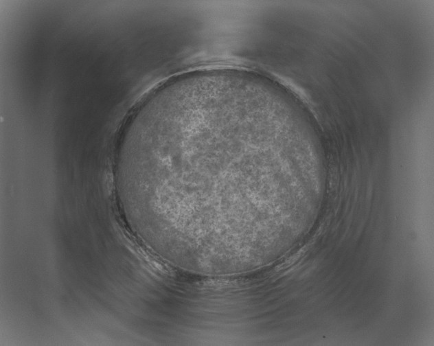 X0000073841407200609071529