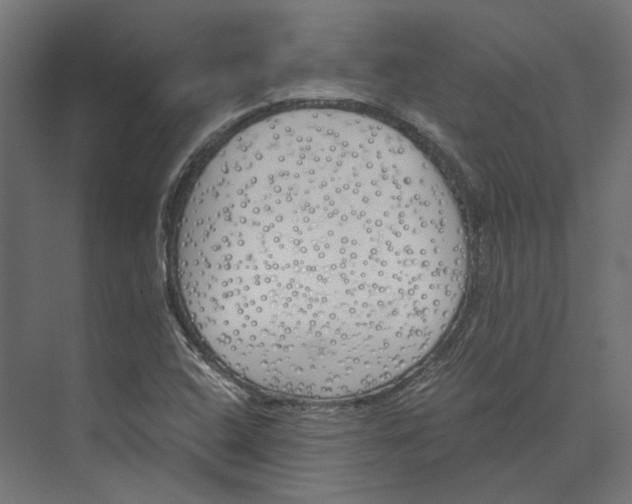 X0000073841408200609071529