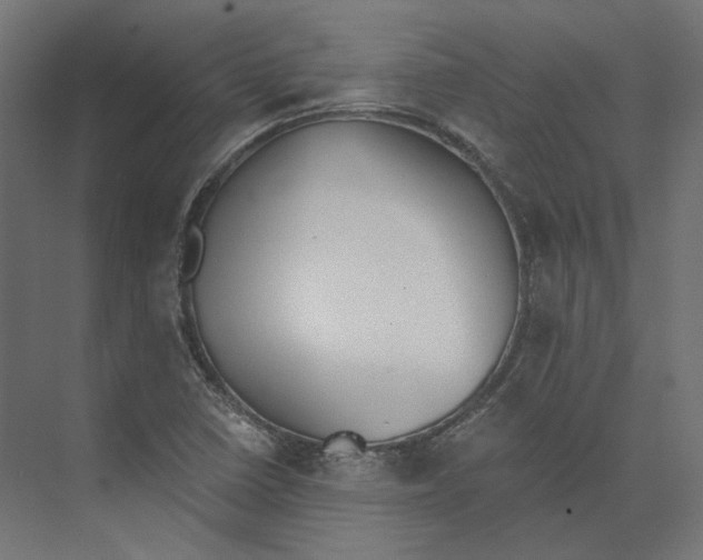 X0000073841410200609071529