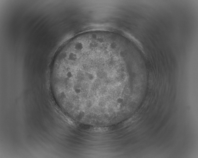 X0000073841411200609071529