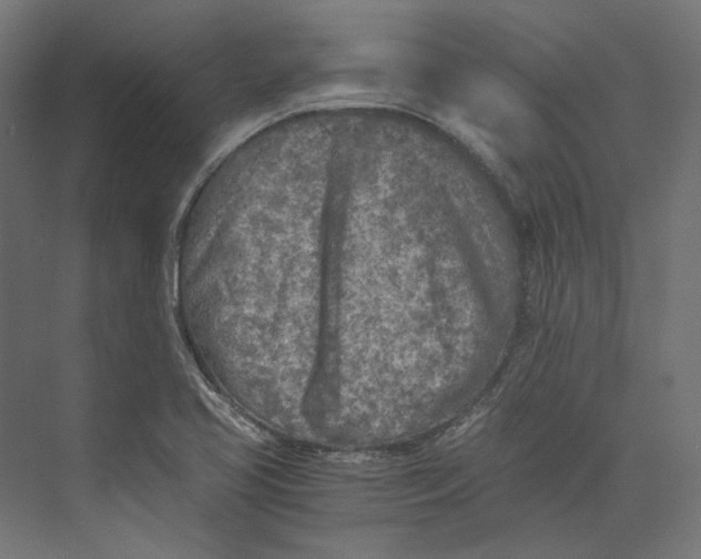 X0000073841413200609071529