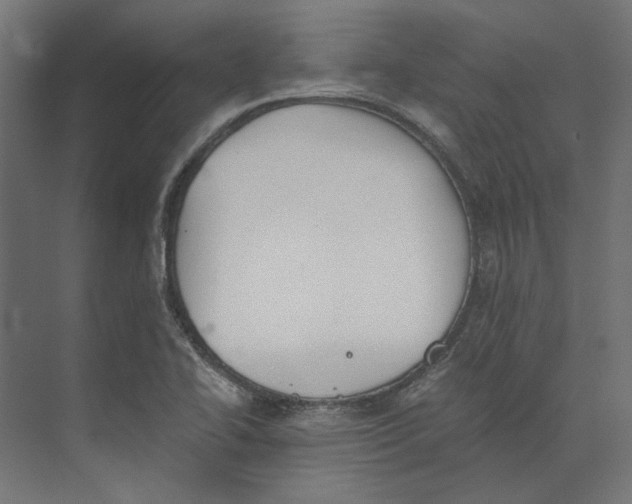 X0000073841414200609071529