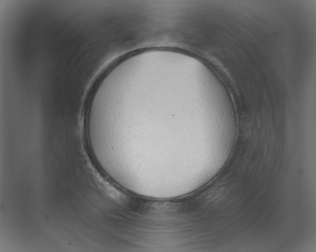 X0000073841416200609071529