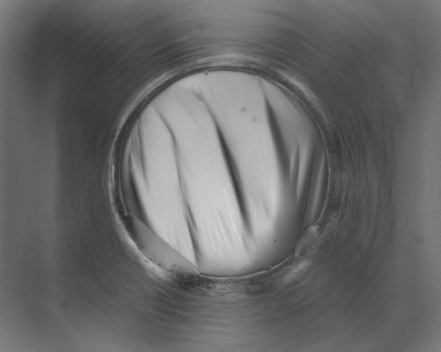 X0000073841418200609071529