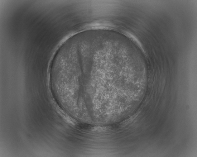 X0000073841419200609071529