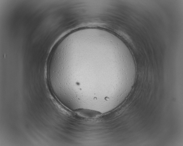 X0000073841420200609071529