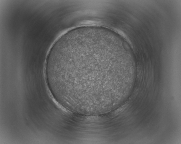 X0000073841421200609071529