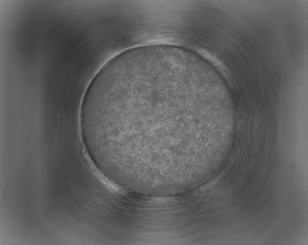 X0000073841423200609071529