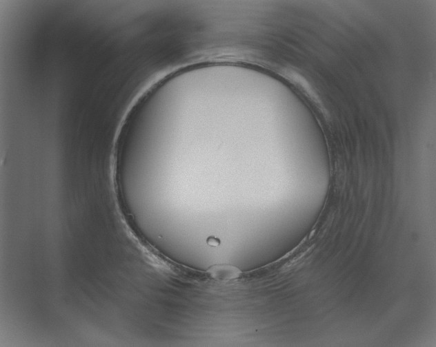 X0000073841424200609071529