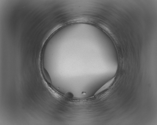 X0000073841426200609071529