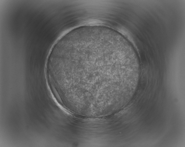 X0000073841429200609071529