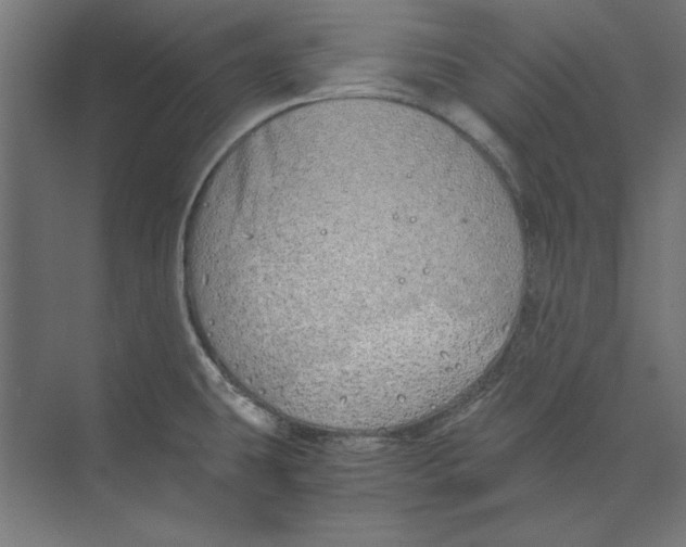 X0000073841431200609071529