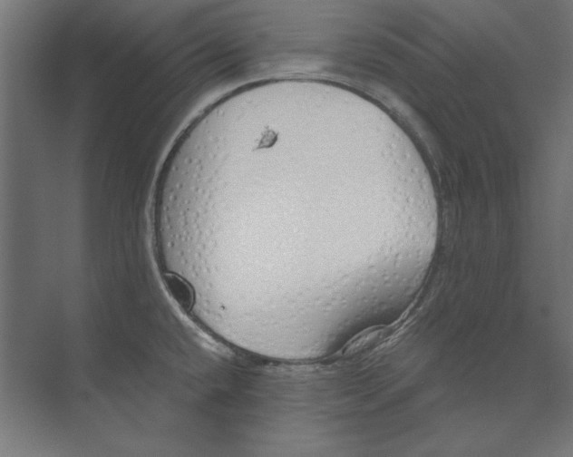 X0000073841432200609071529