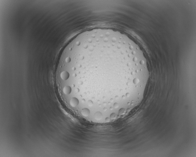 X0000073841433200609071529