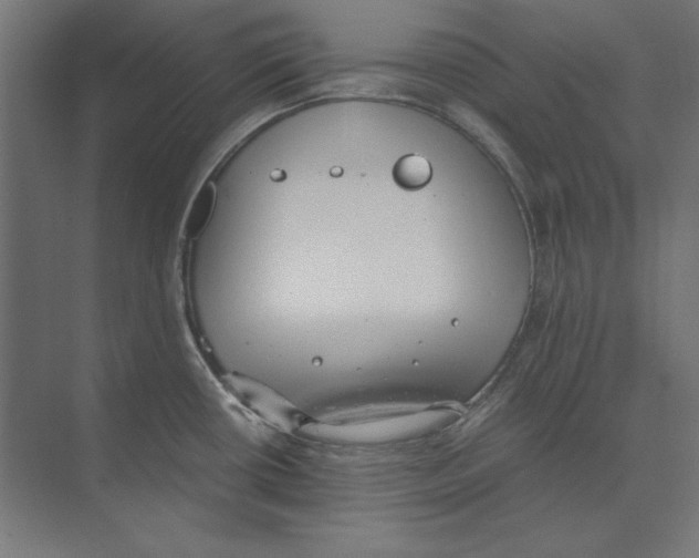 X0000073841434200609071529