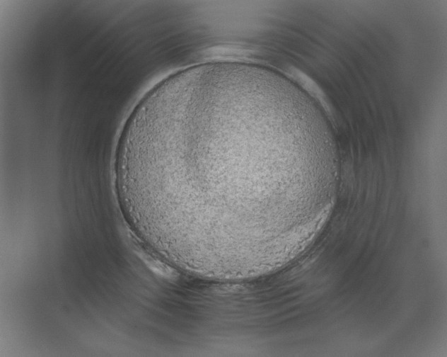 X0000073841435200609071529