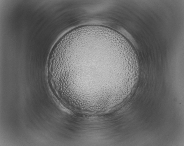 X0000073841436200609071529