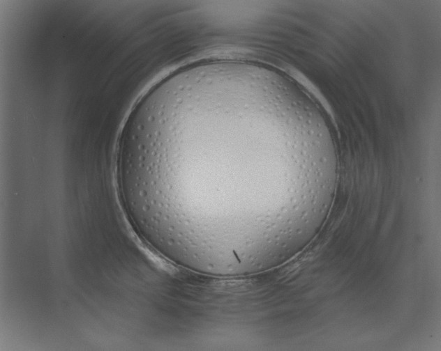 X0000073841437200609071529