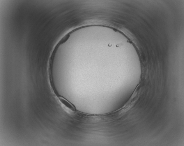 X0000073841438200609071529