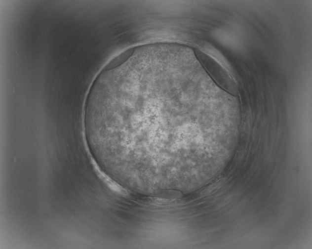 X0000073841439200609071529