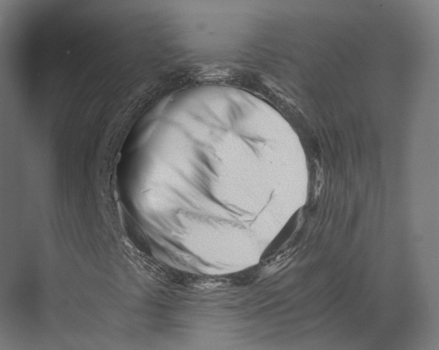 X0000073841441200609071529