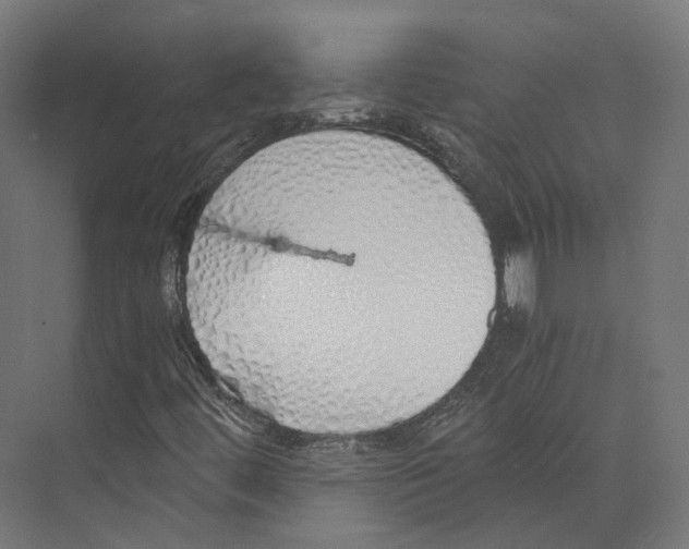 X0000073841444200609071528