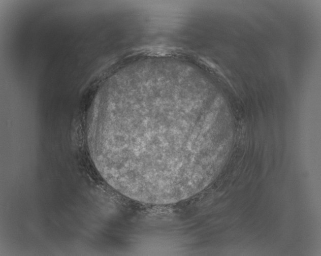 X0000073841446200609071528