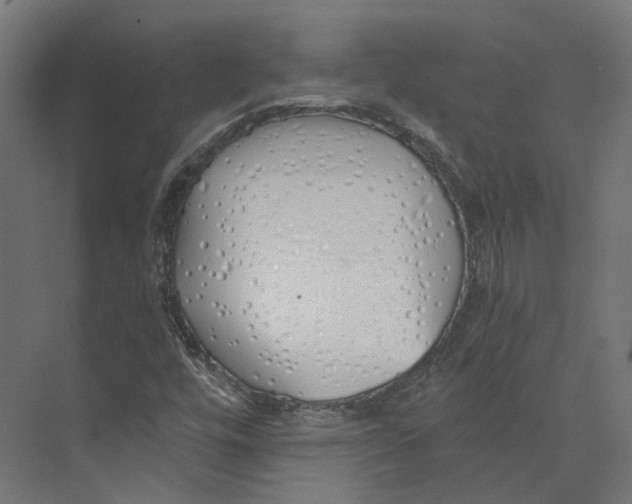 X0000073841448200609071528