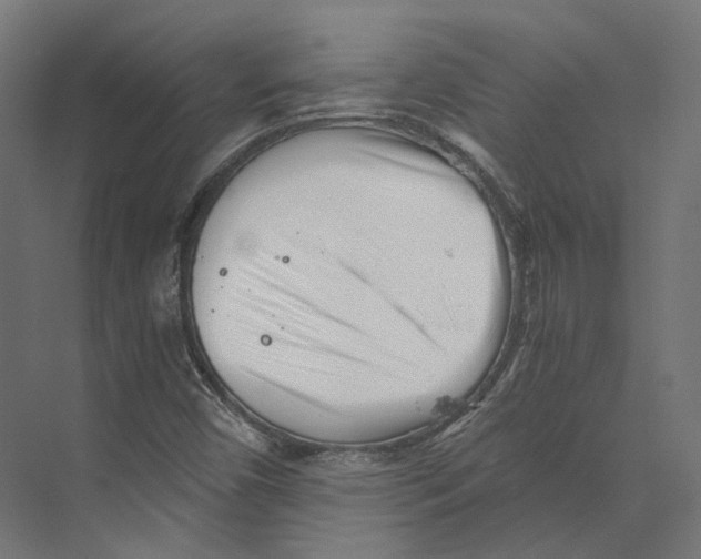 X0000073841450200609071528