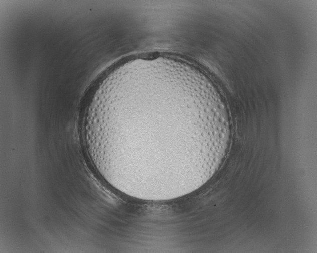 X0000073841452200609071528