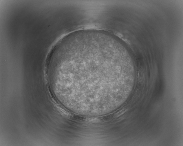 X0000073841454200609071528