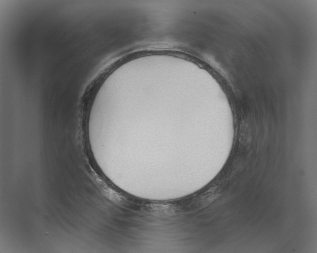 X0000073841456200609071528